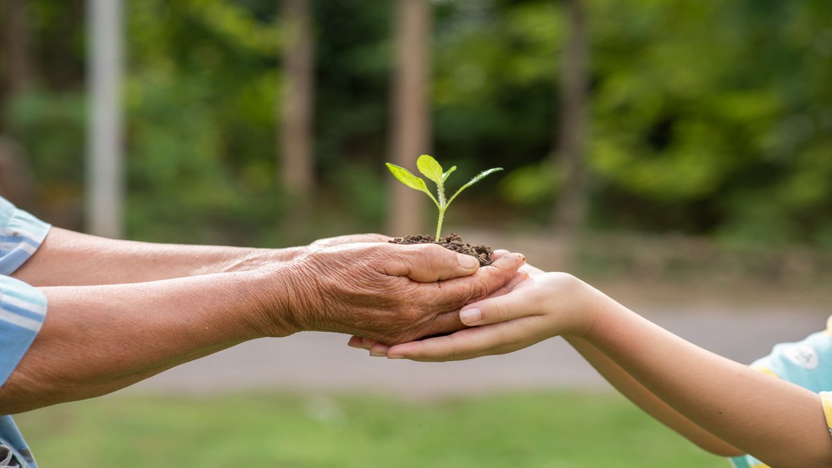 Limpando com Consciência: Inovações Sustentáveis na Lavanderia Industrial